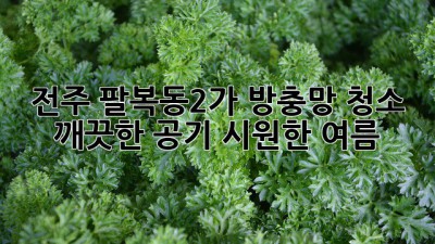 전주 팔복동2가 방충망 청소: 깨끗한 공기, 시원한 여름!