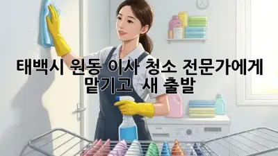 태백시 원동 이사 청소🧹✨ 전문가에게 맡기고 🏡 새 출발!